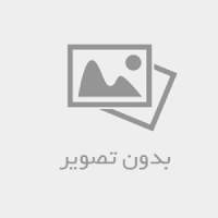 معرفی رشته سیاستگذاری عمومی
